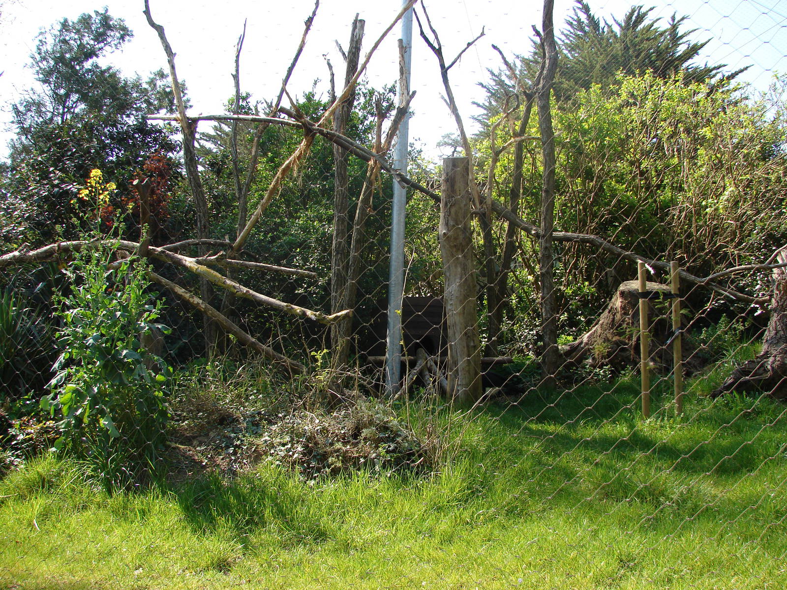 South american aviary