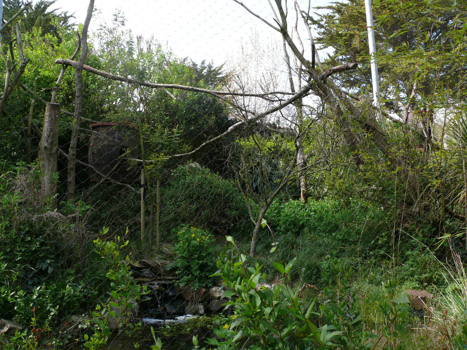 South american aviary