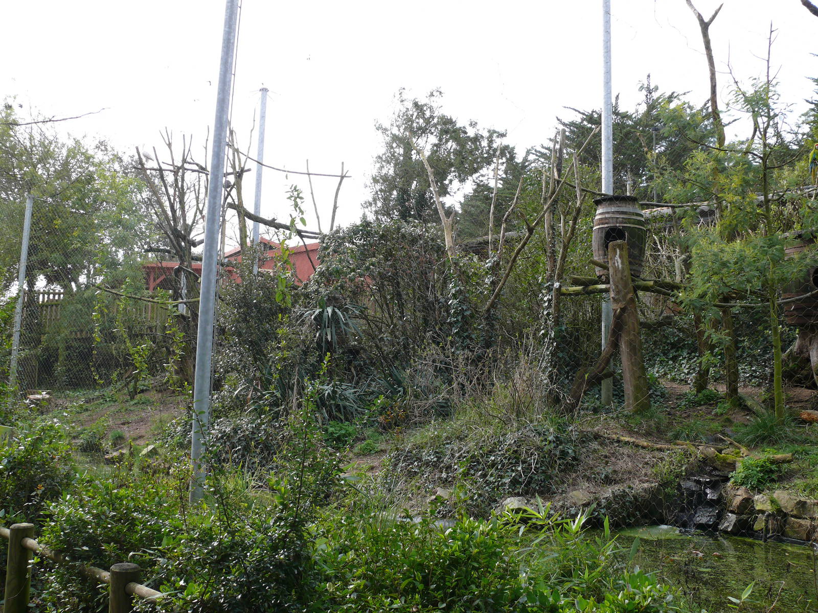 South american aviary