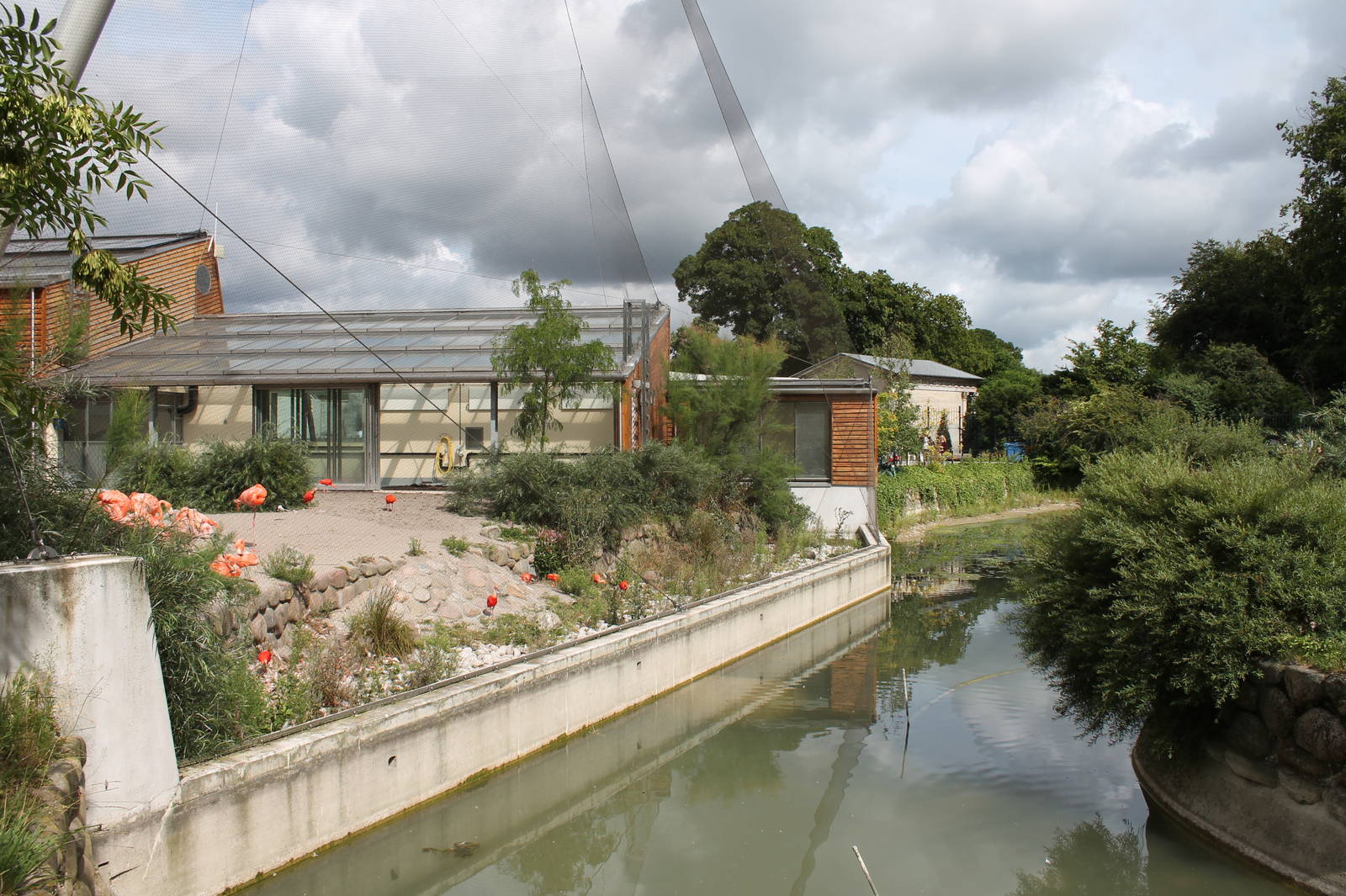 South American Aviary