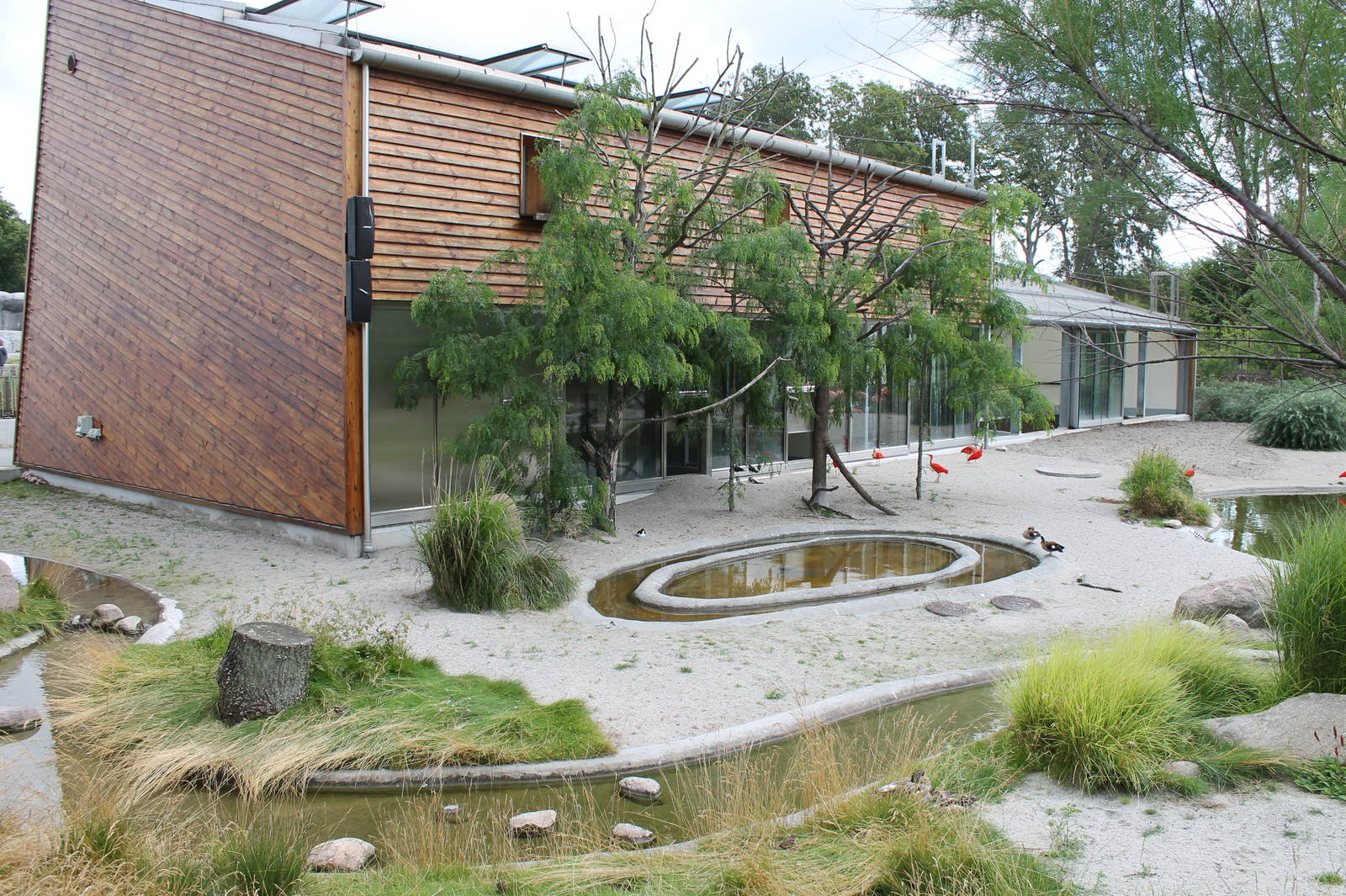 South American Aviary