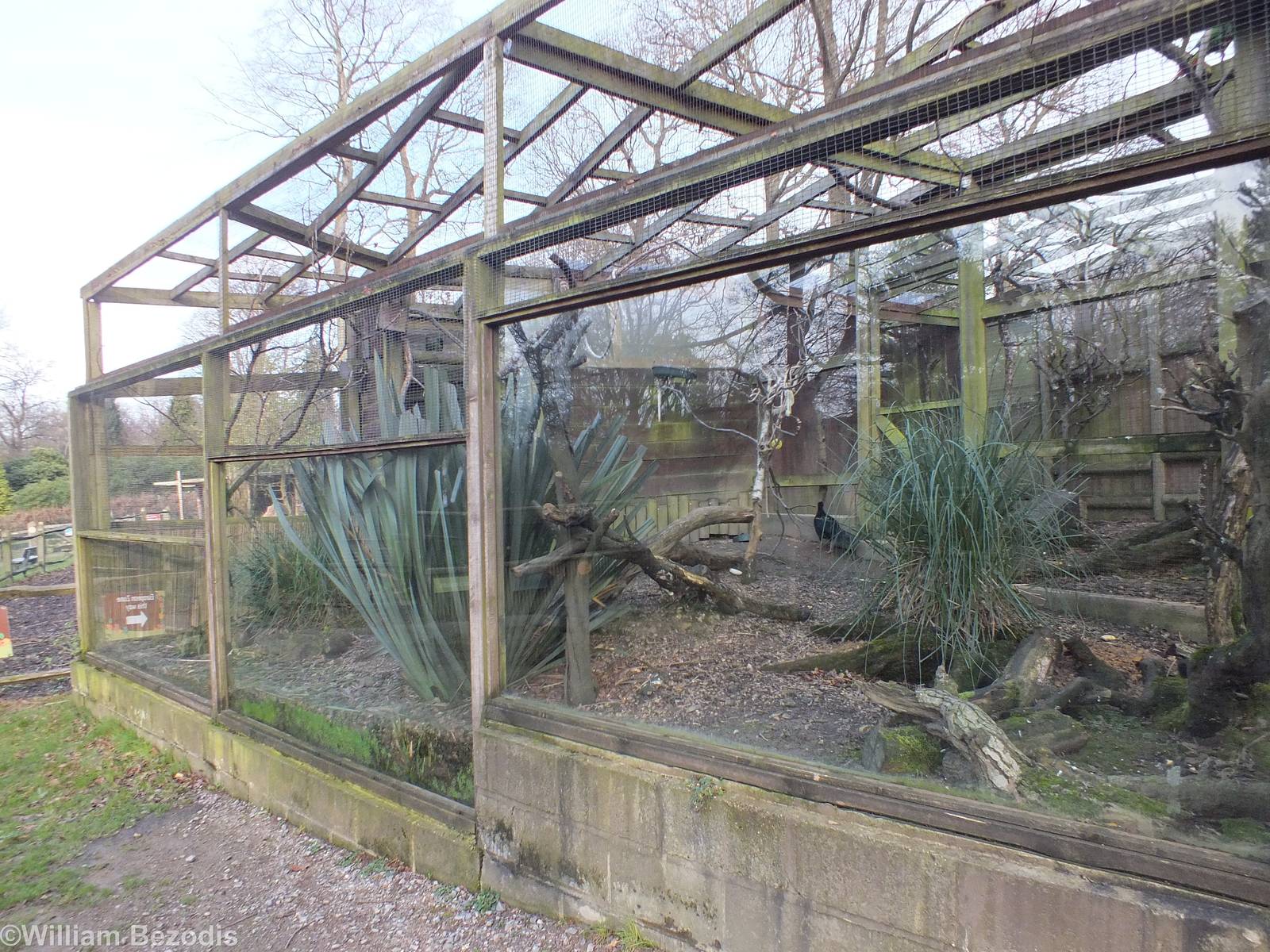 'South American' Aviary