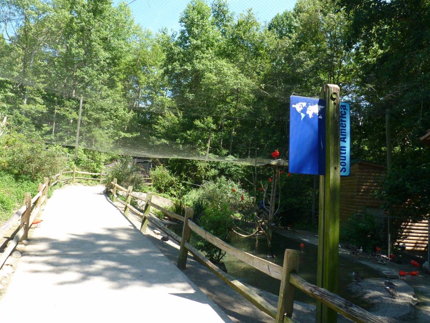 South american aviary