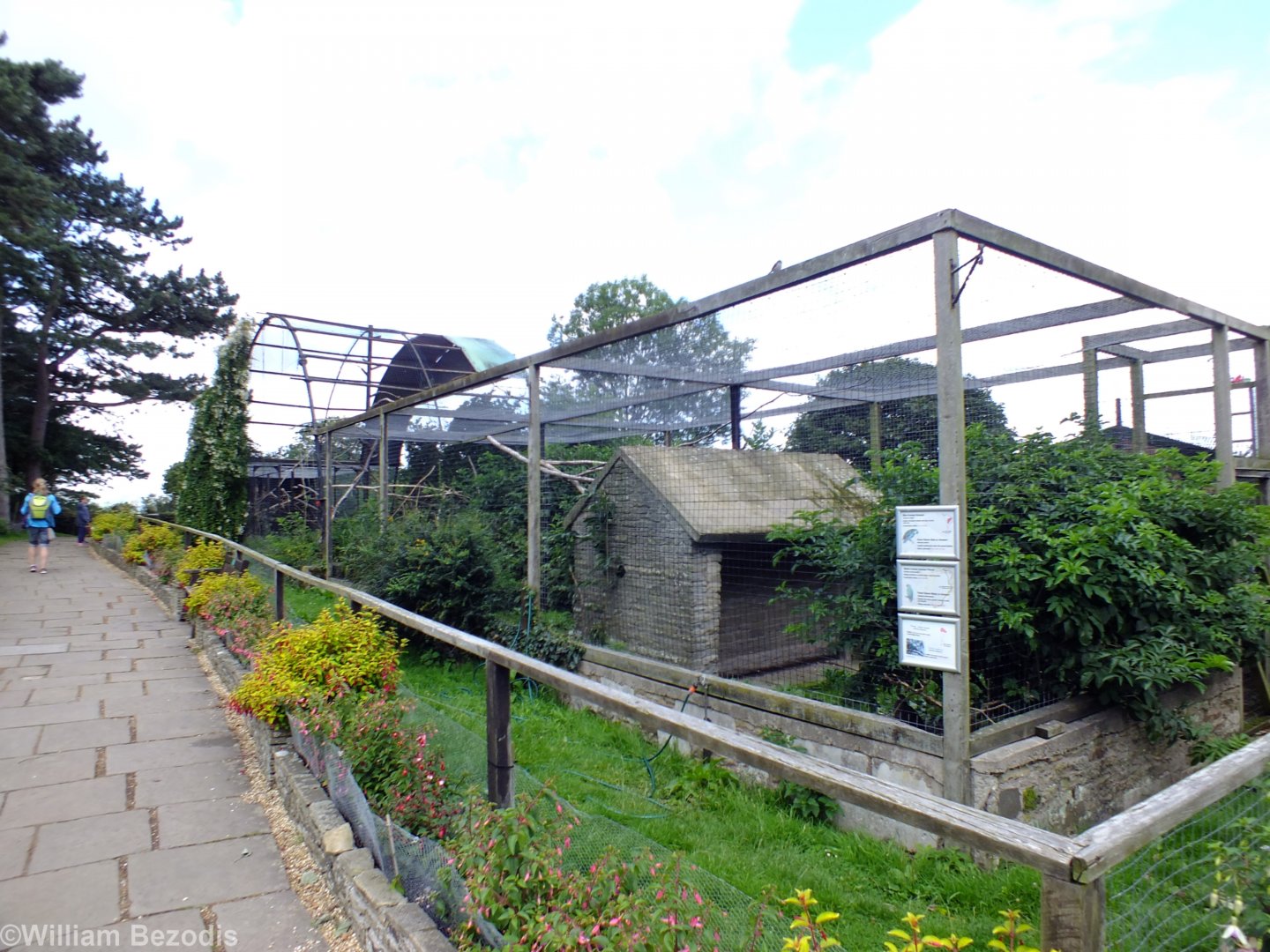 South American Aviary