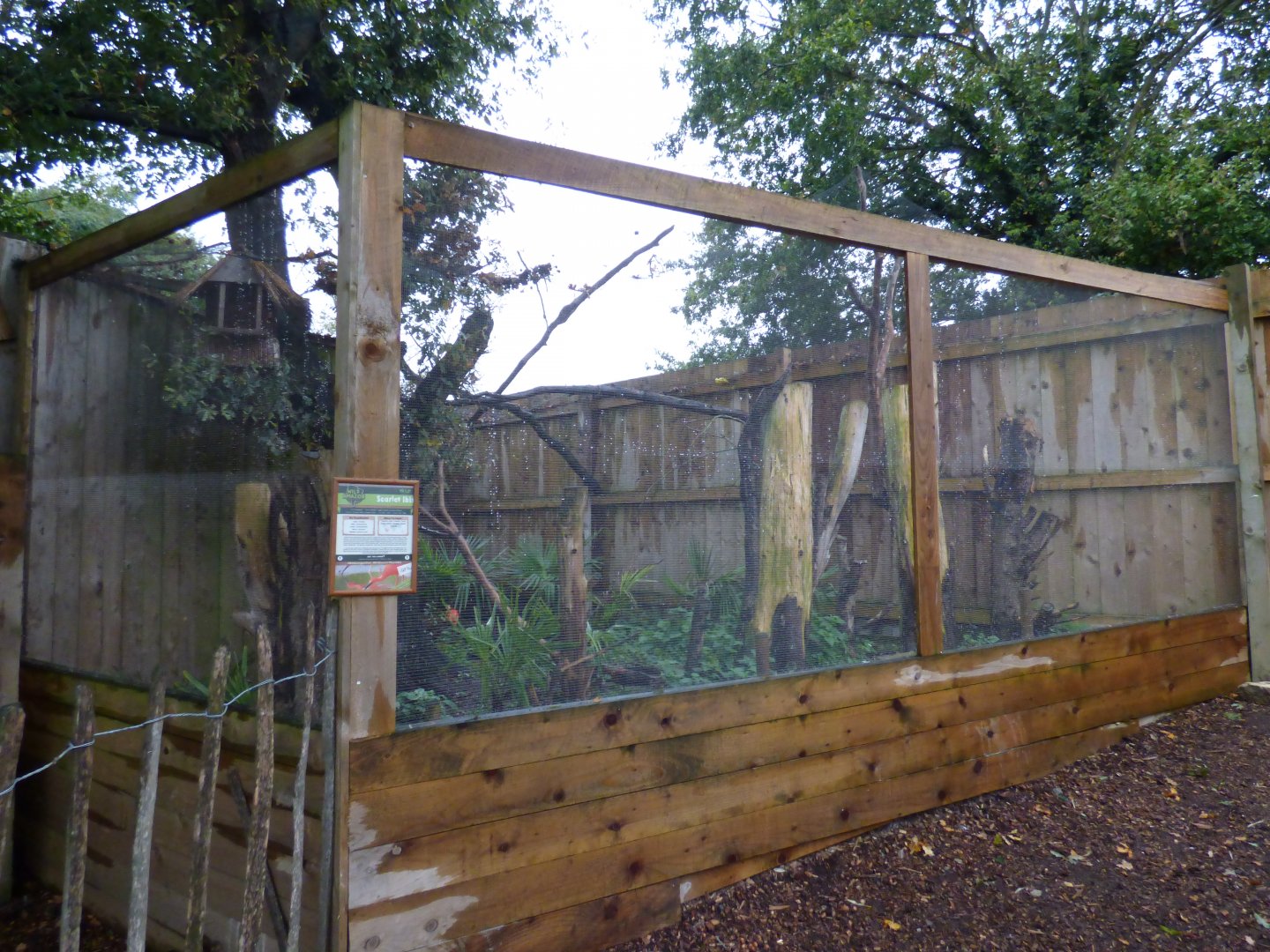 South American aviary