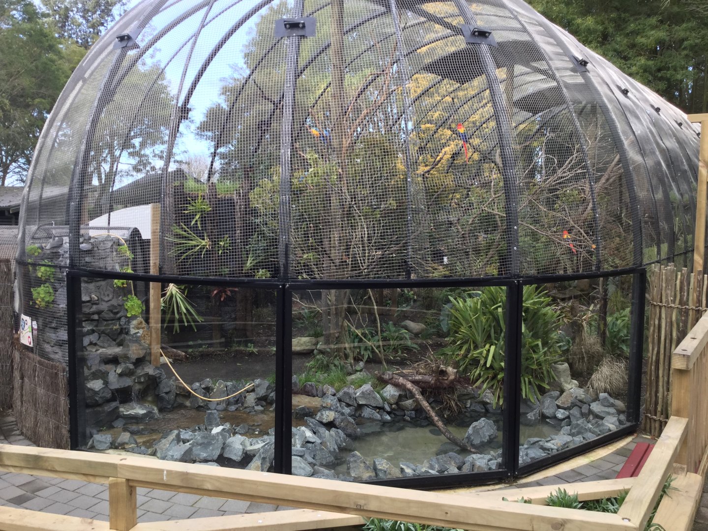 South American Aviary