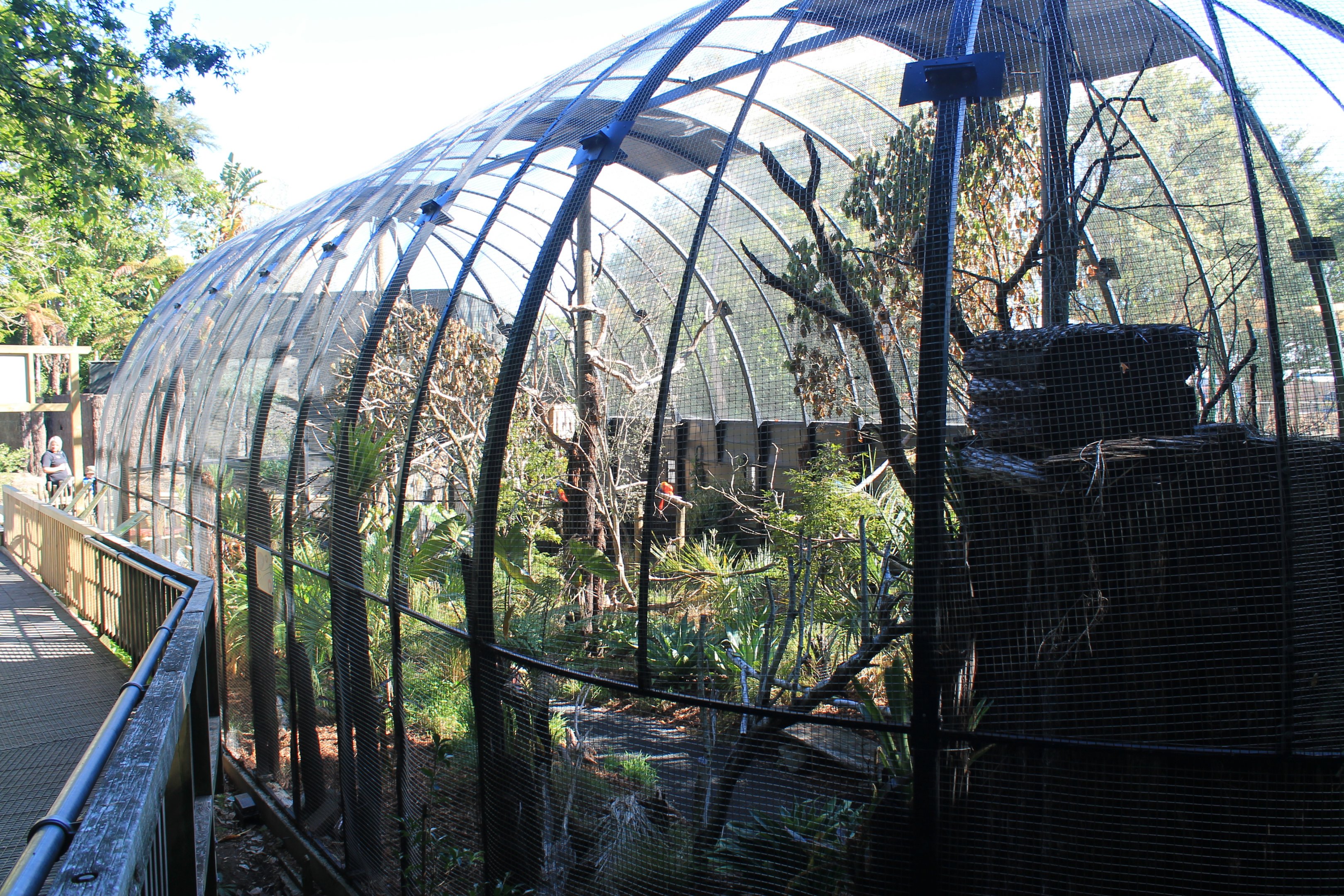 South American aviary