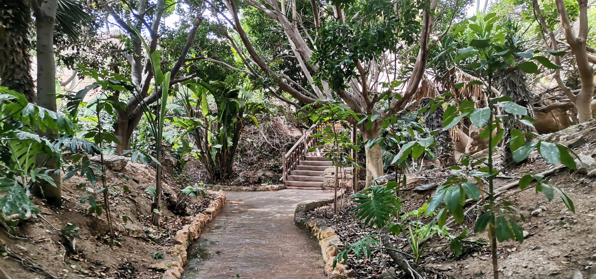 South American Aviary