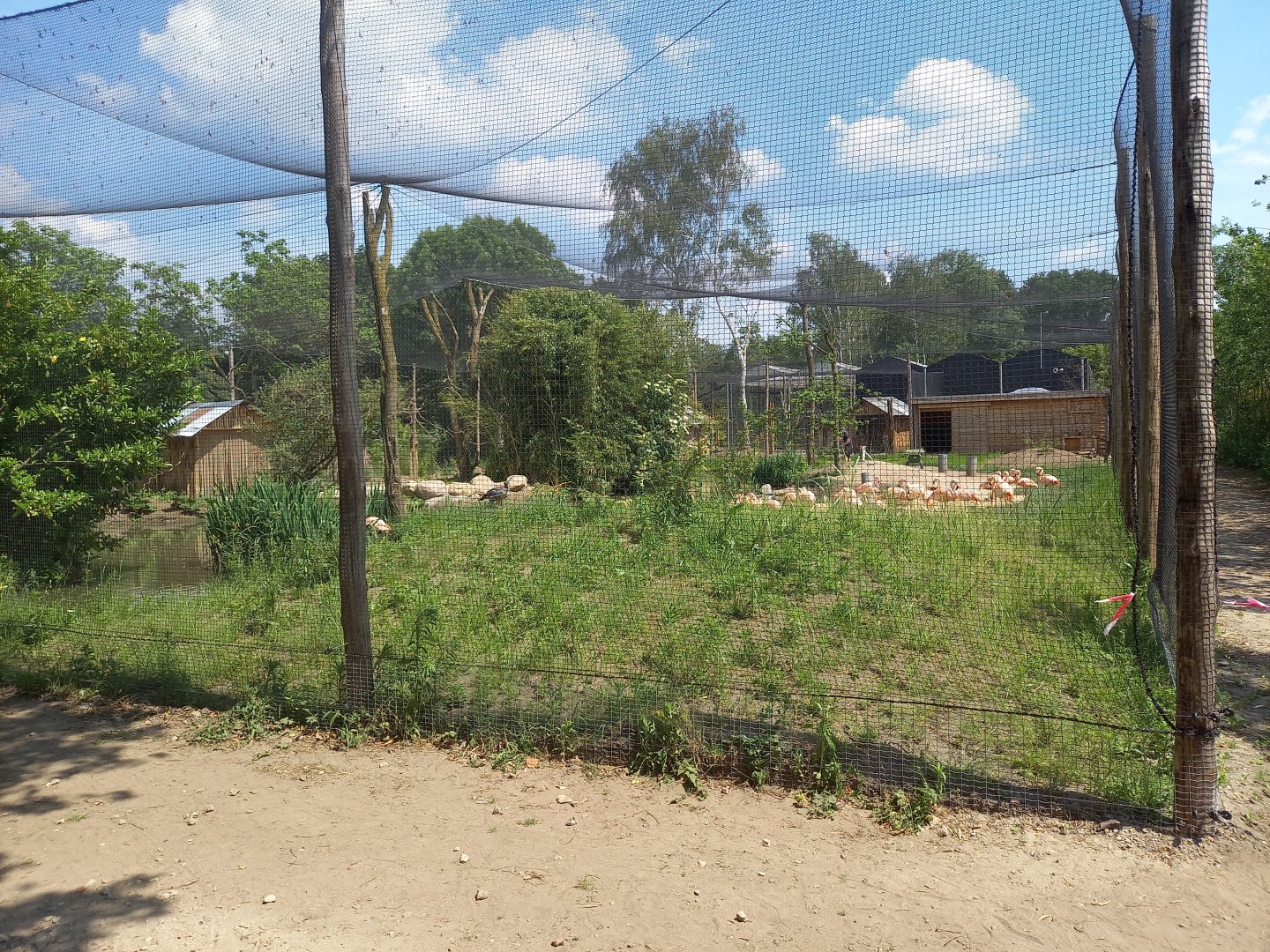 South American aviary