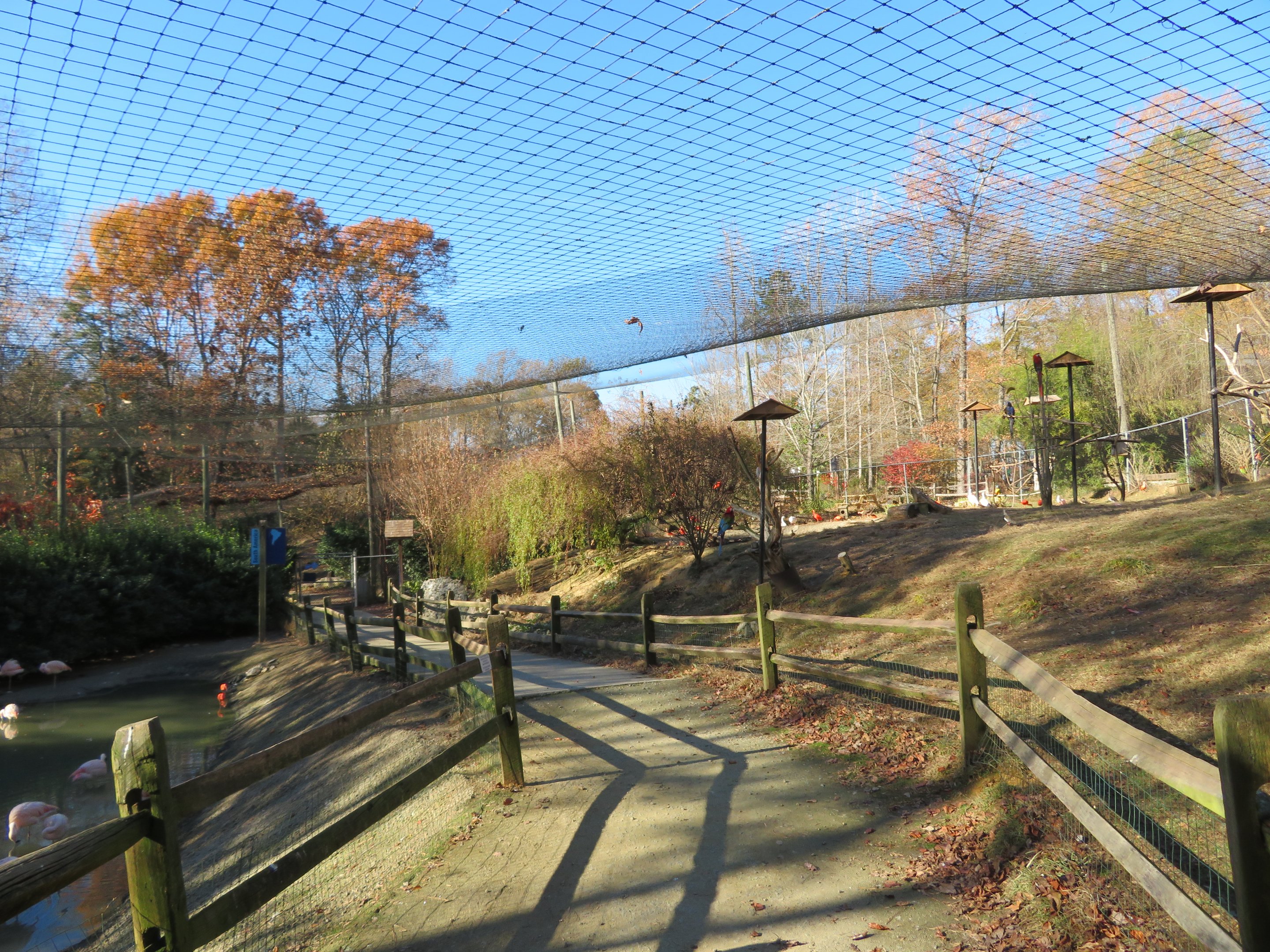South American Aviary