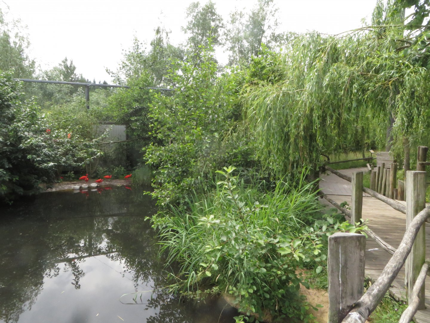 South-American aviary