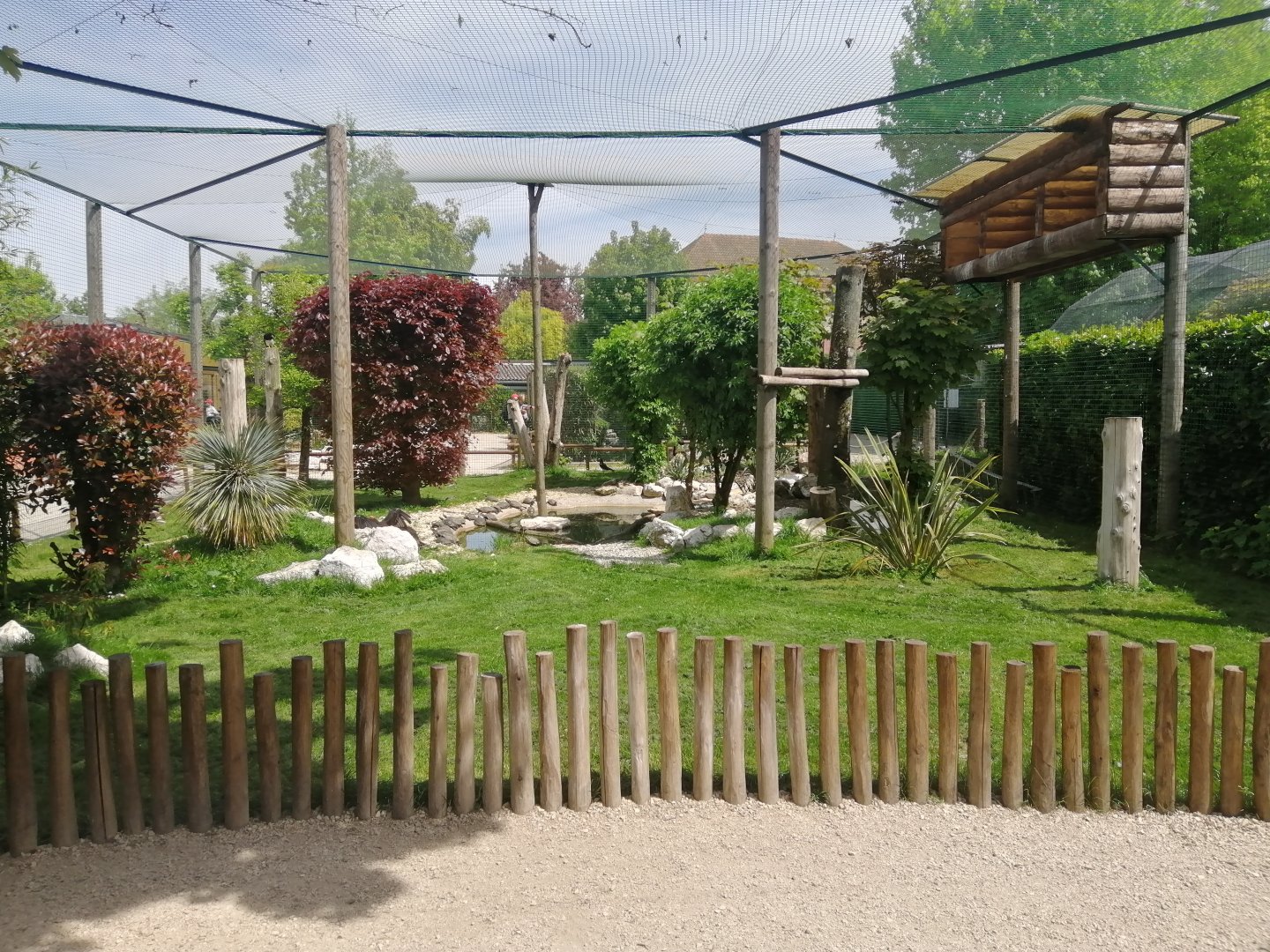 South American aviary