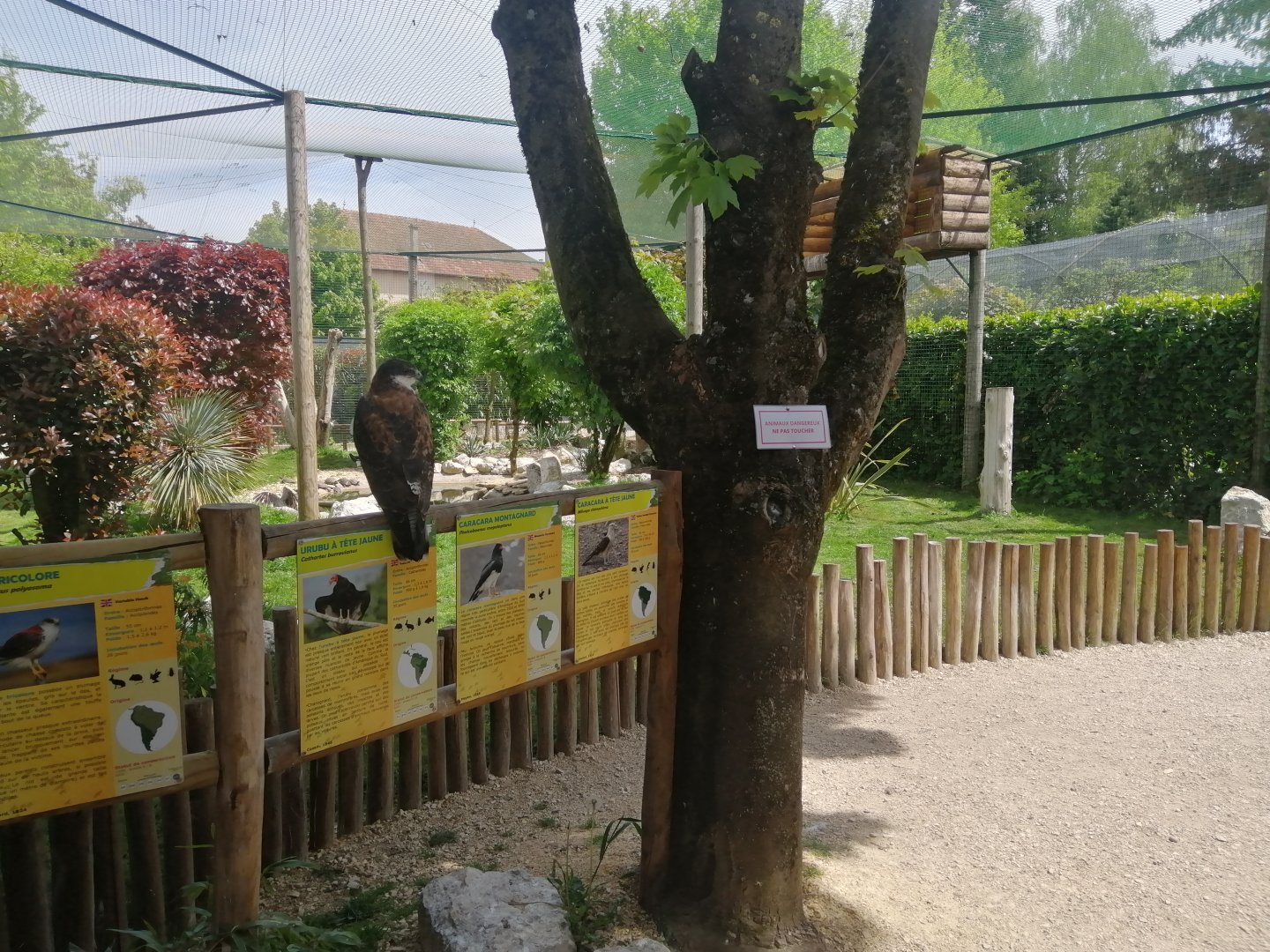 South American aviary