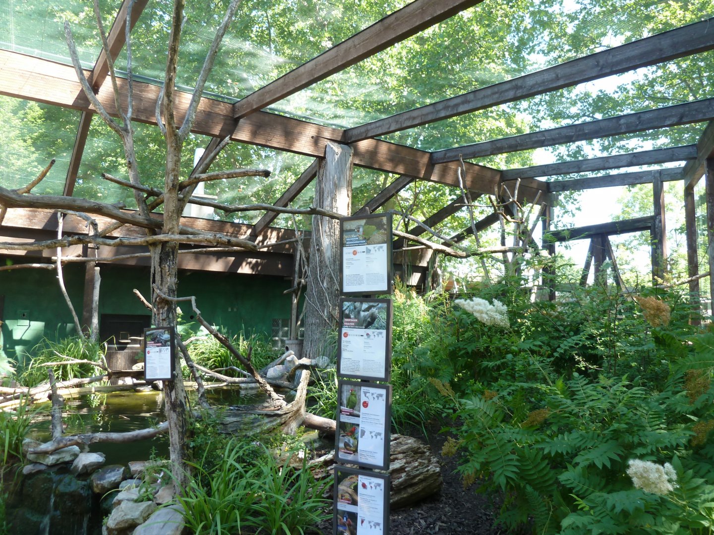 South American aviary