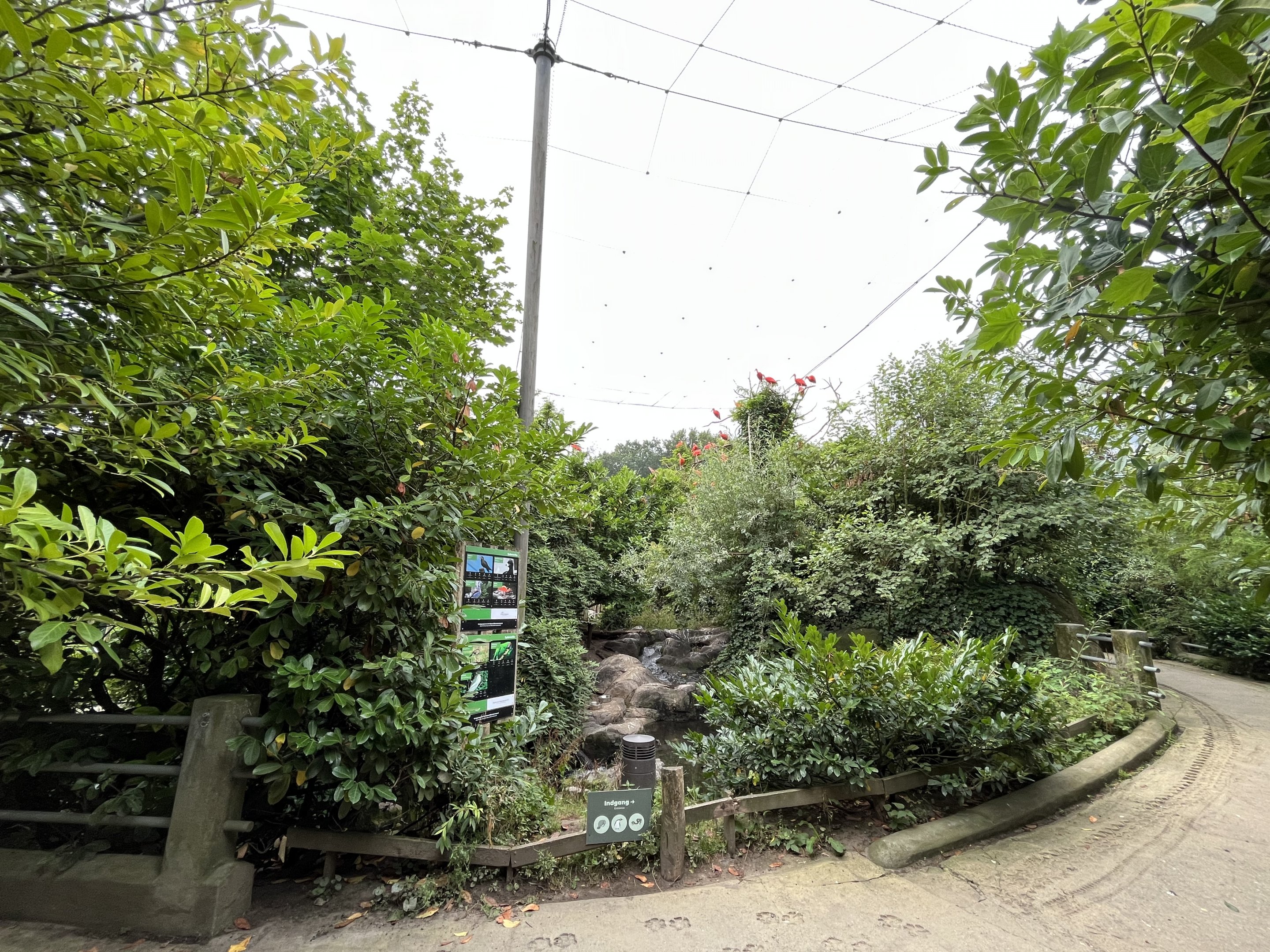 South American Aviary