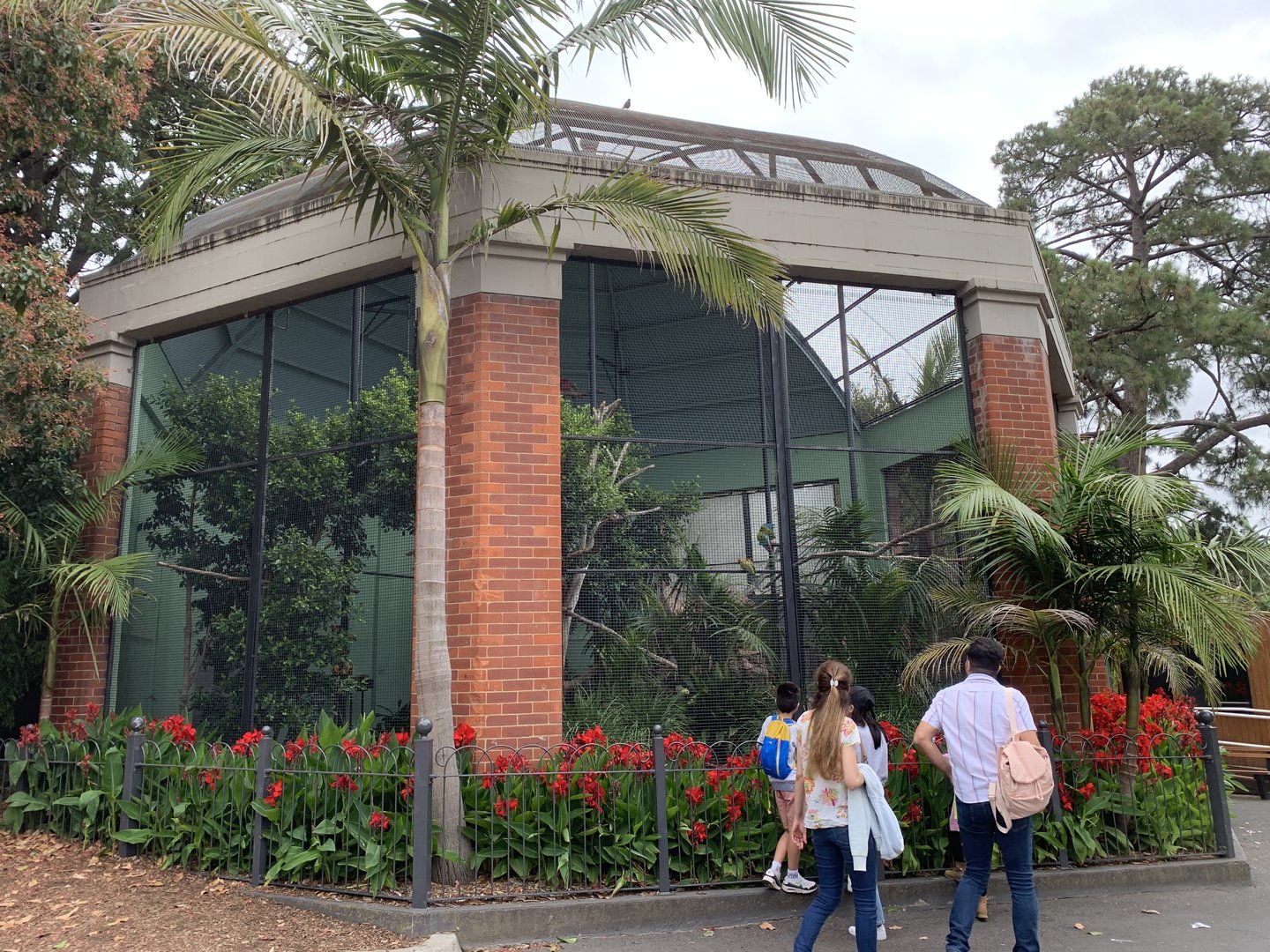 South American Aviary