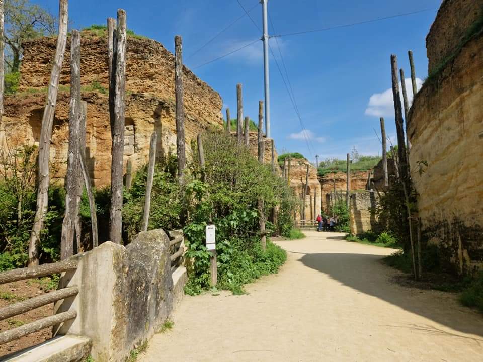 South American Aviary