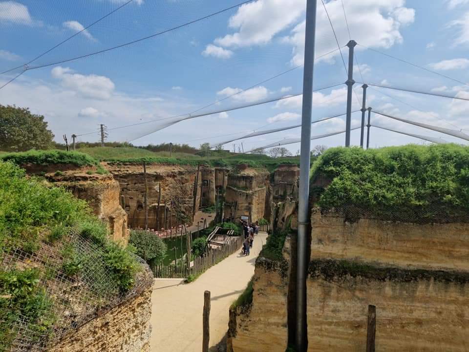 South American Aviary