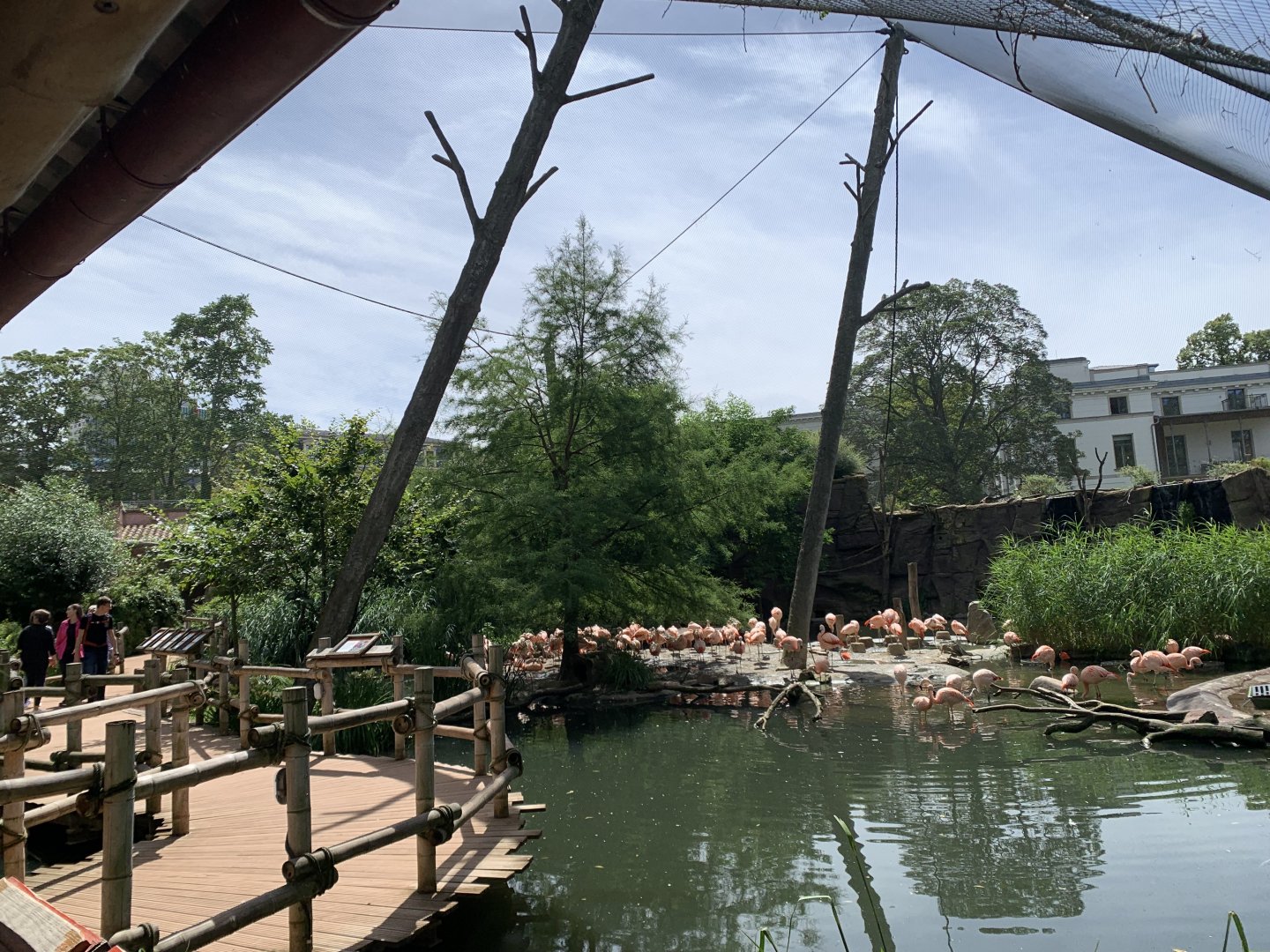 South American aviary