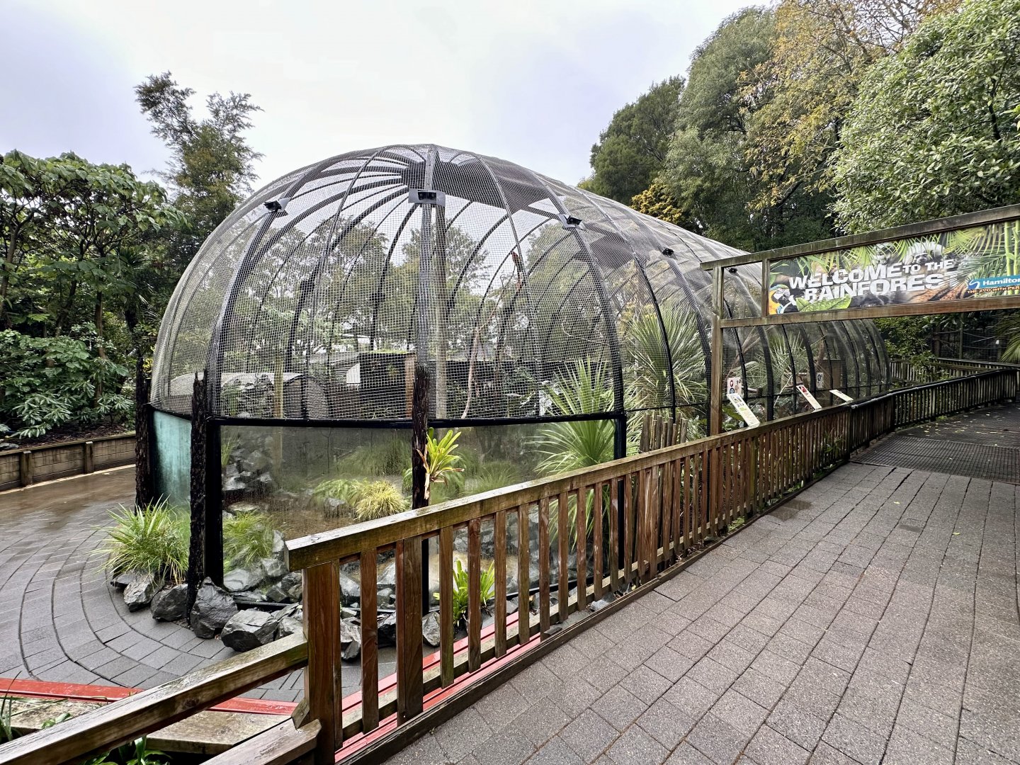 South American Aviary