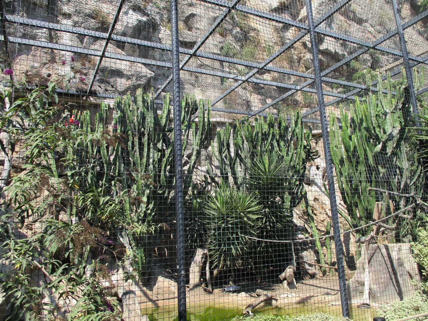 South American aviary