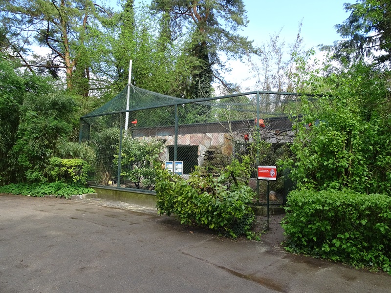 South American aviary