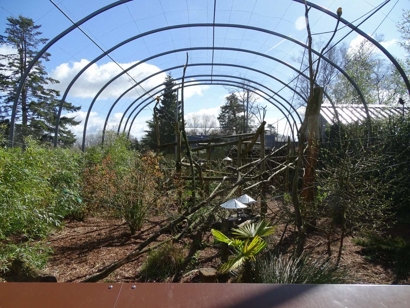 South american aviary