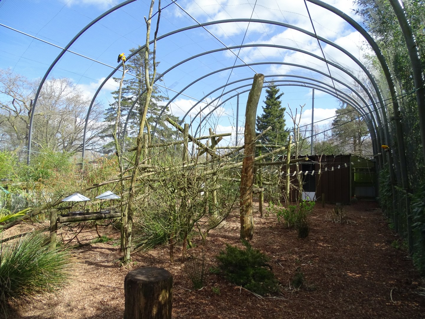 South american aviary