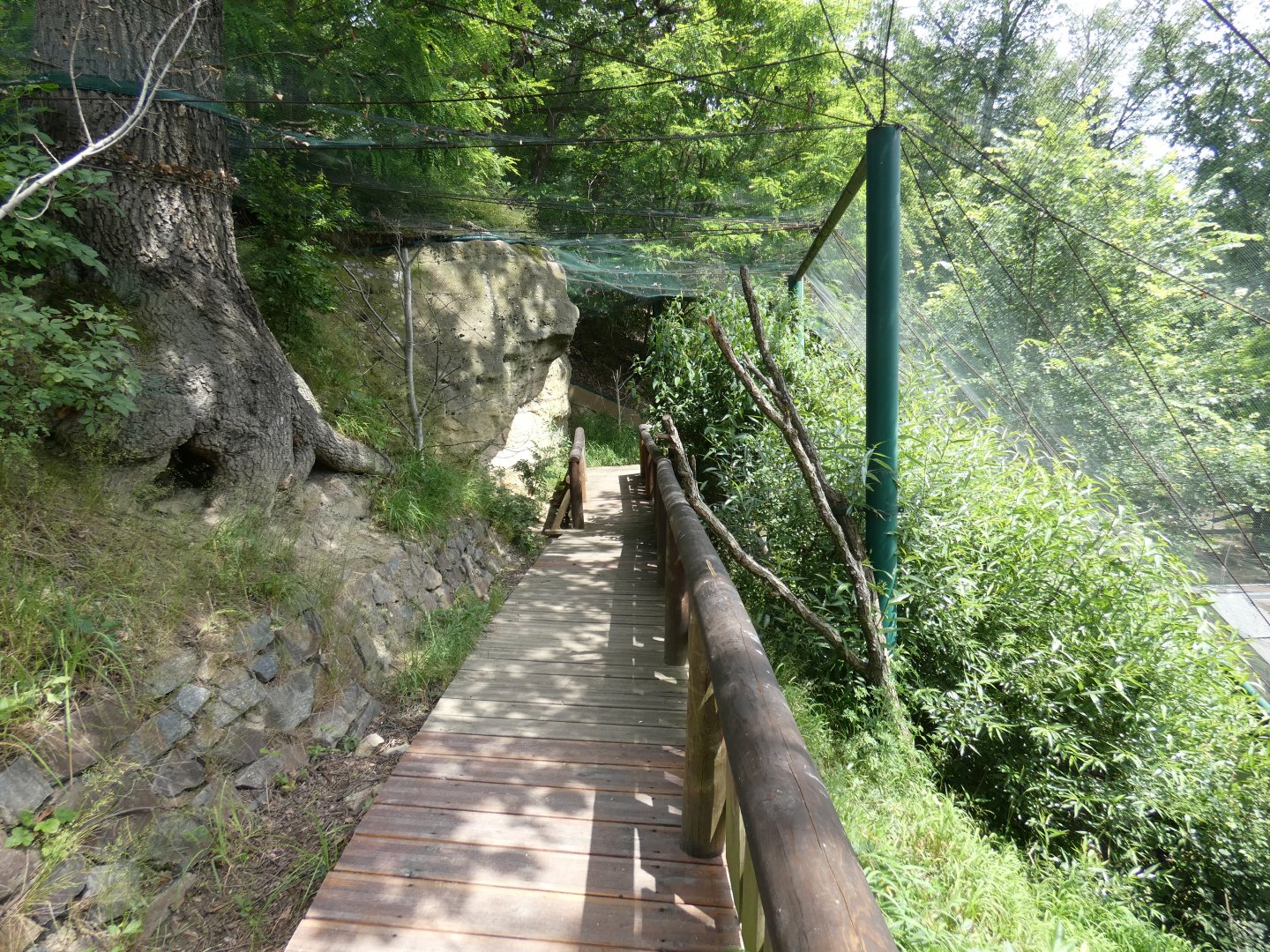 South American aviary