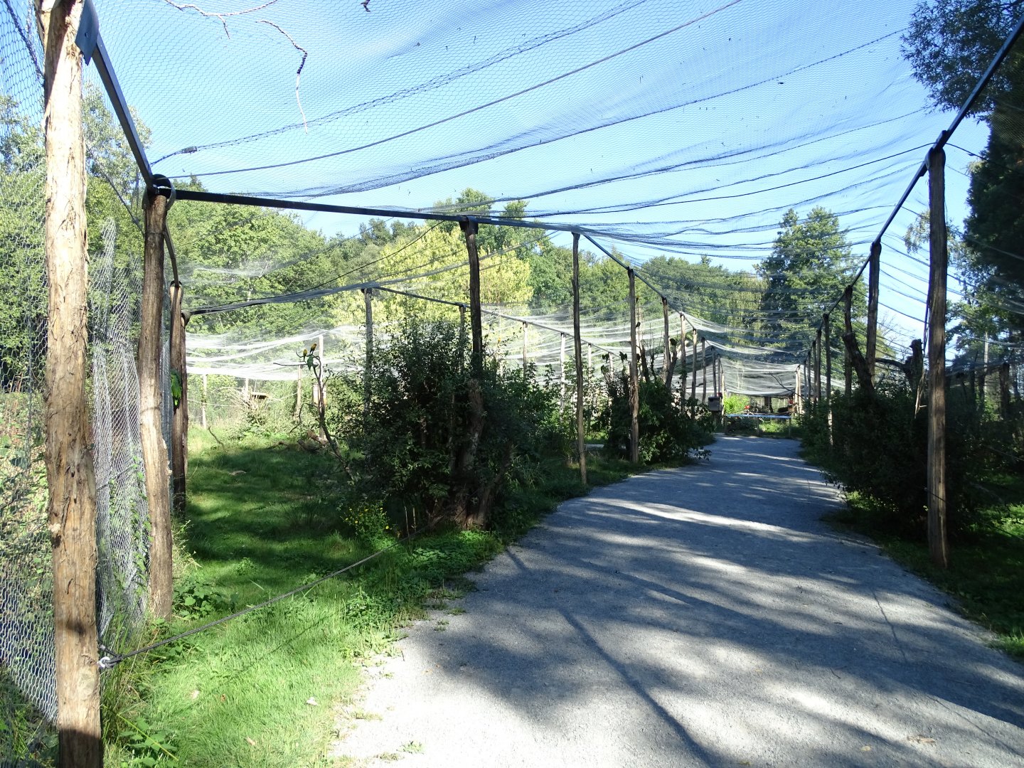 South American aviary