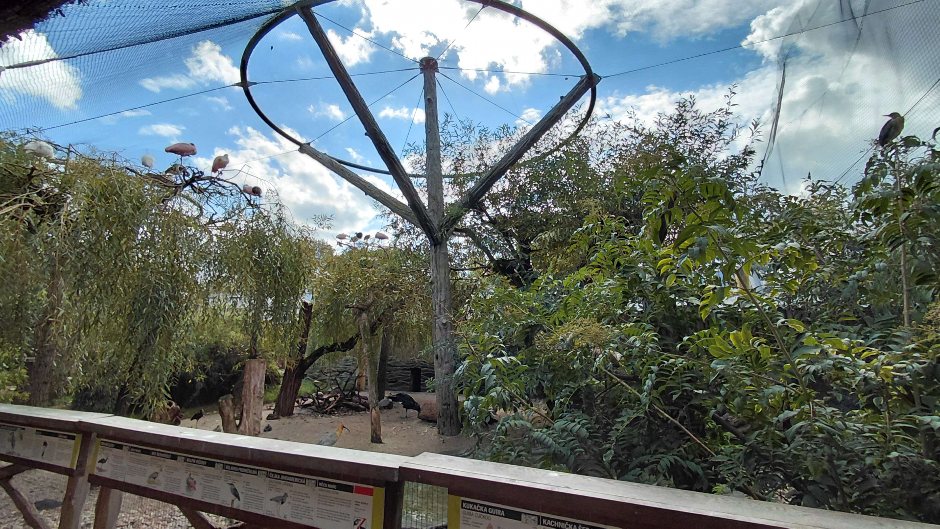 South American aviary