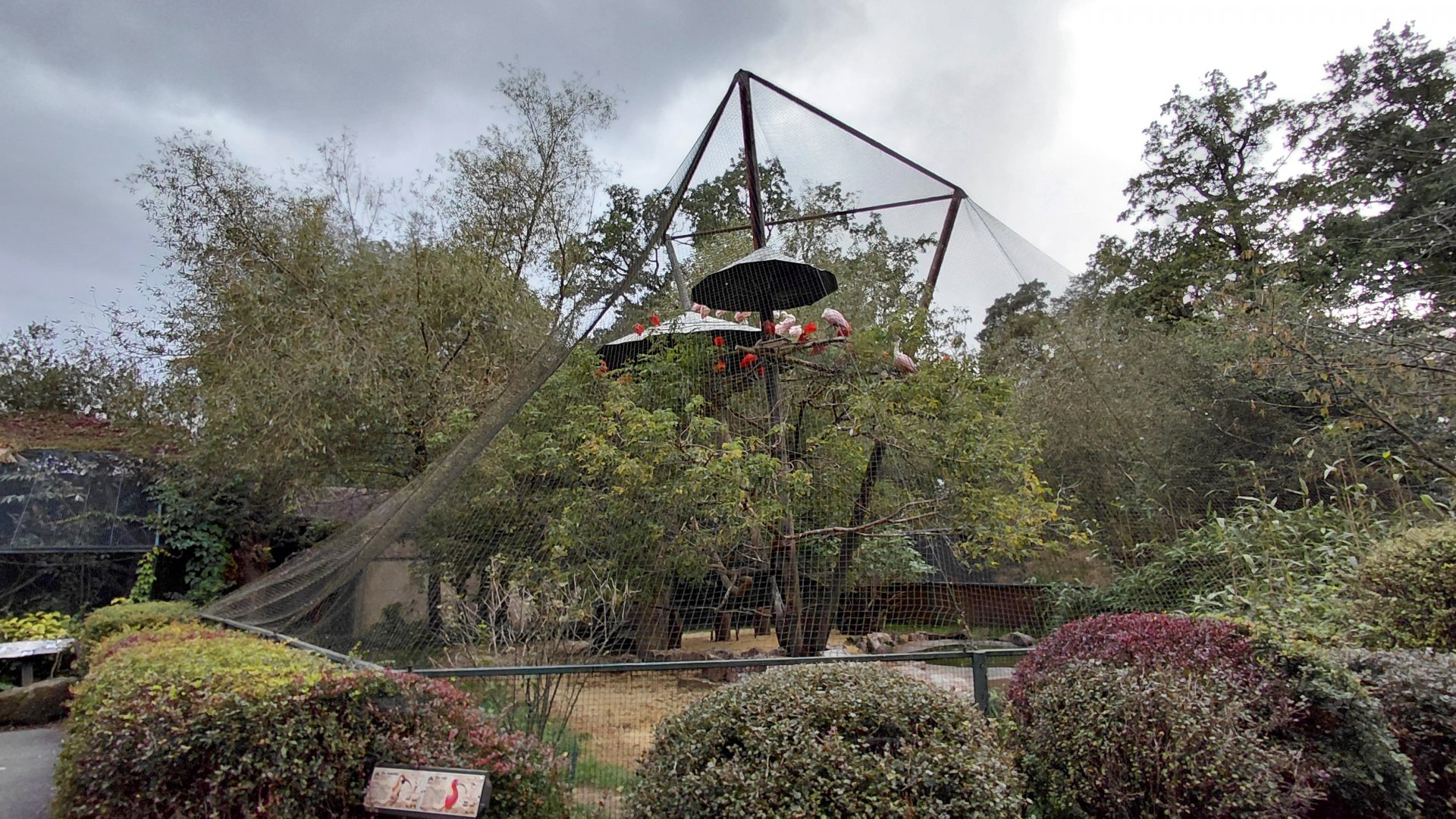 South American aviary