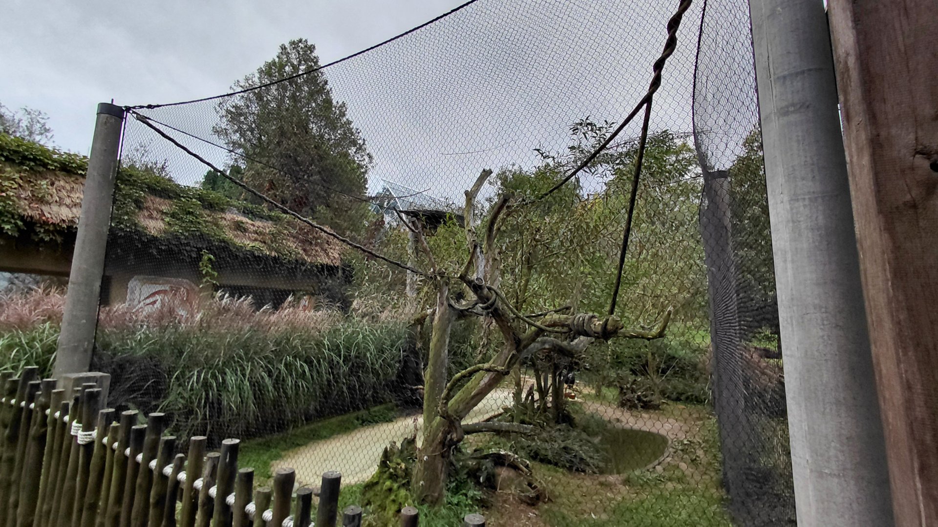 South American aviary