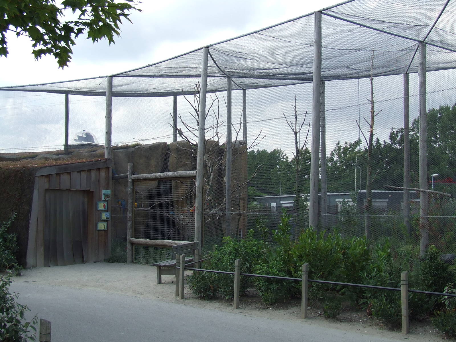 South American aviary