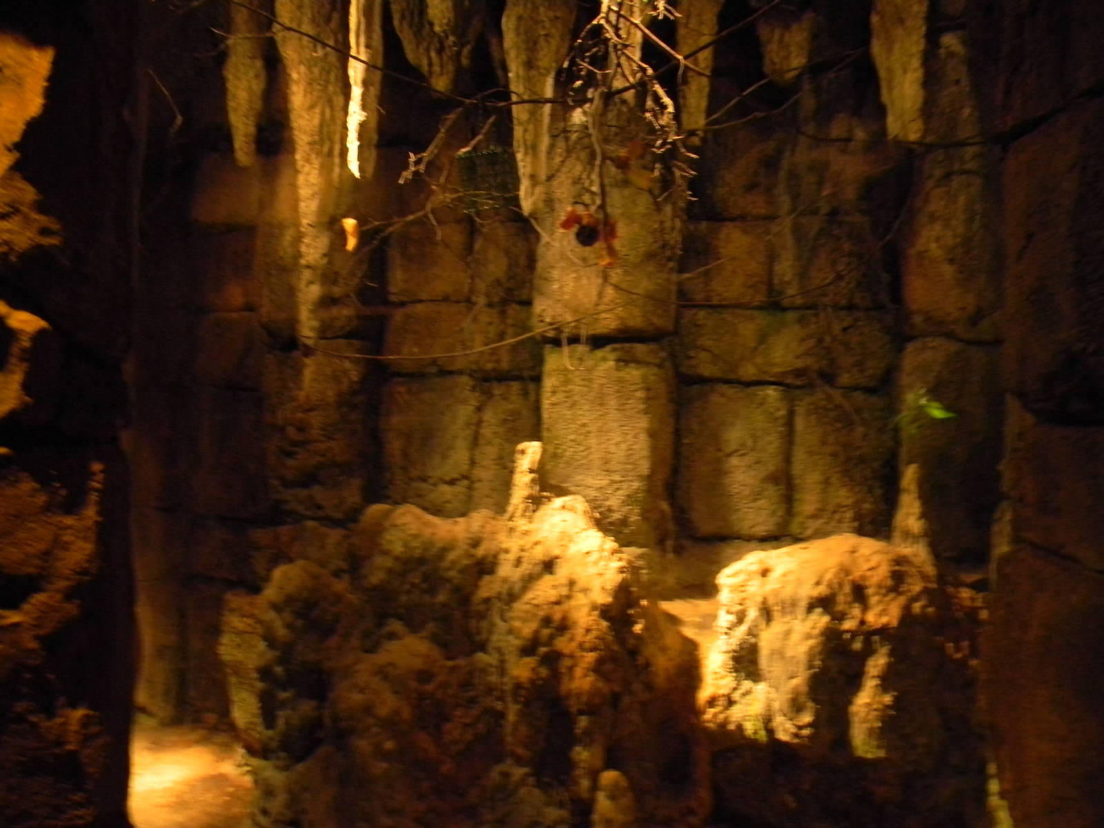 South American bat exhibit