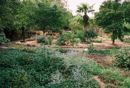 south american bird exhibit