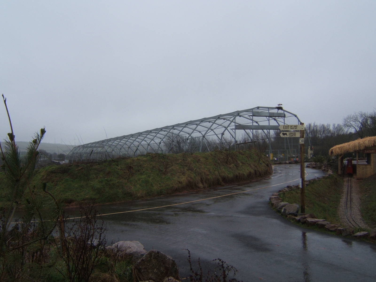 South American Bird of Prey Aviary