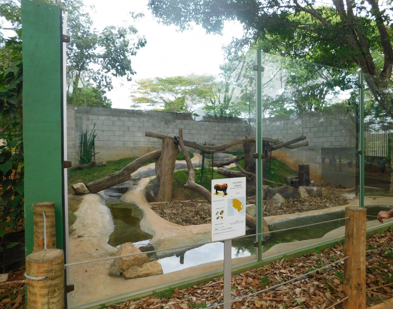 South-american-bush-dog exhibit - Brasilia zoo