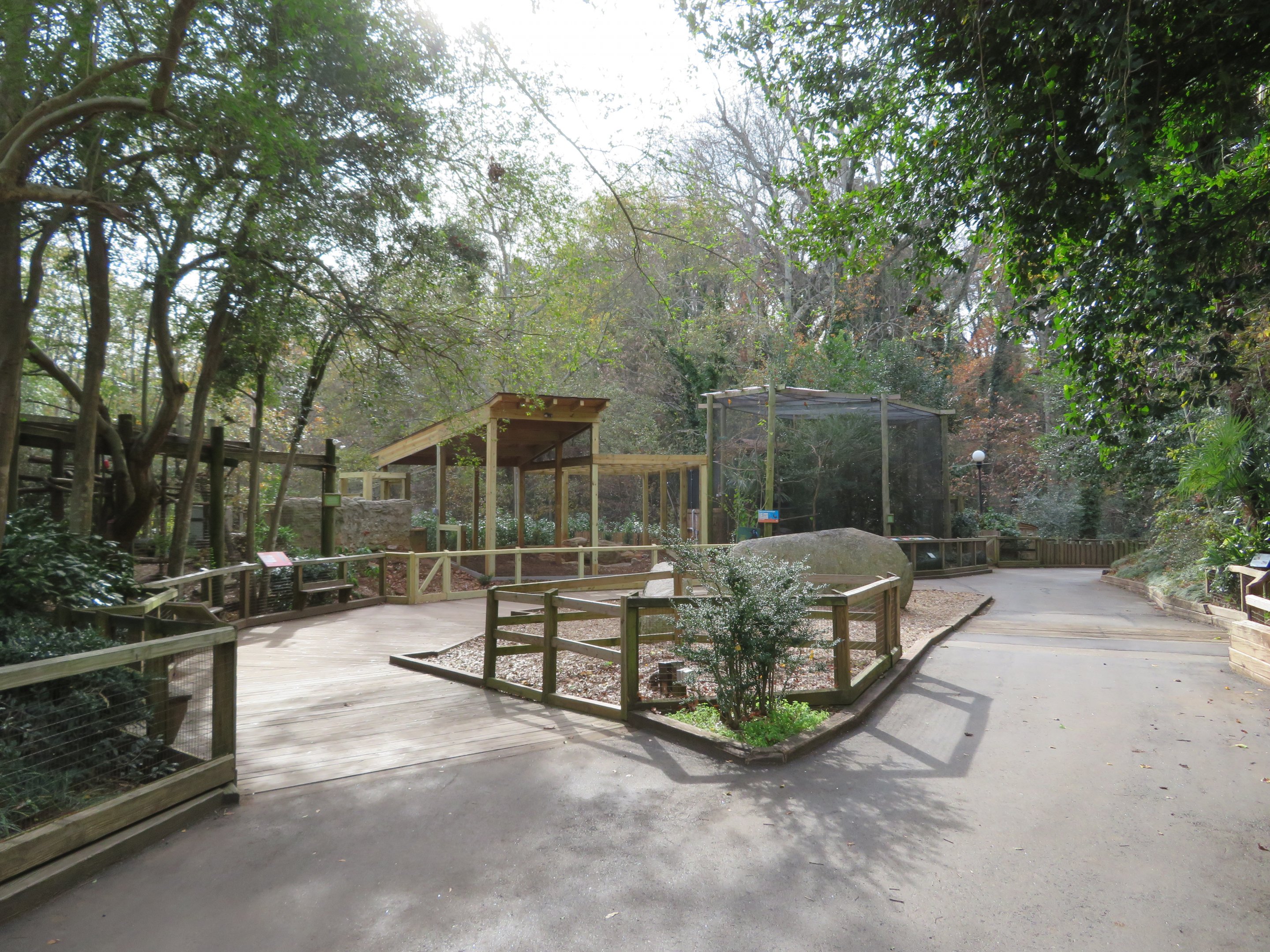 South American Cages