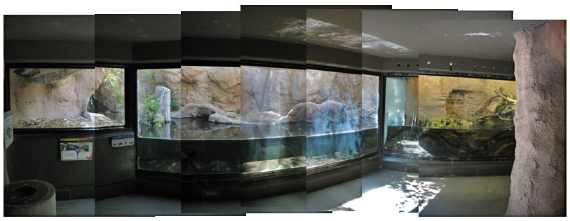 south american cave - underwater viewing