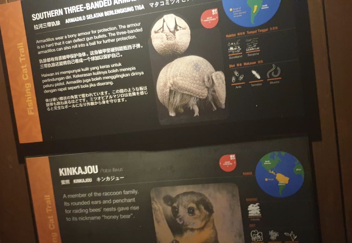 South American Co-Habitation