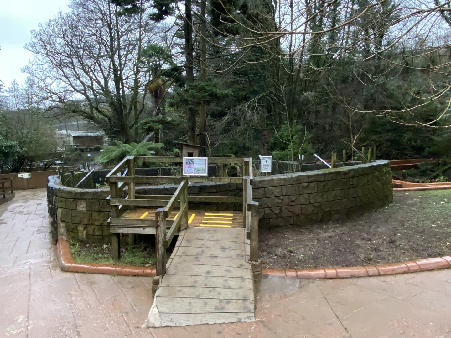 South American coati enclosure 170224