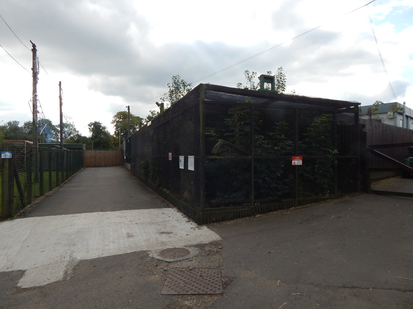 South American coati enclosure 200922