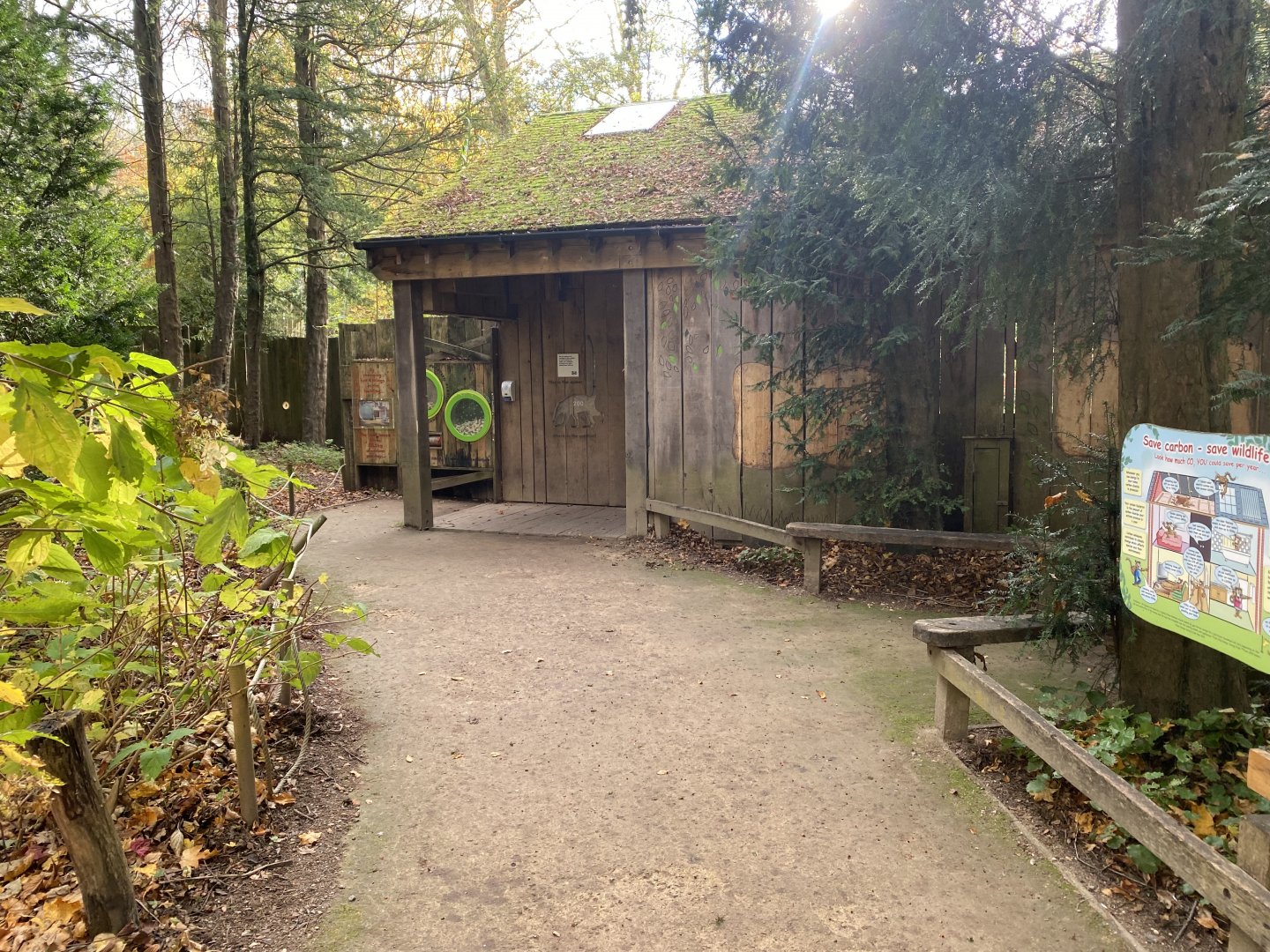 South American coati enclosure 201121