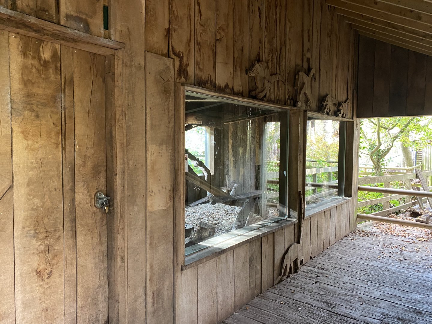 South American coati enclosure 201121