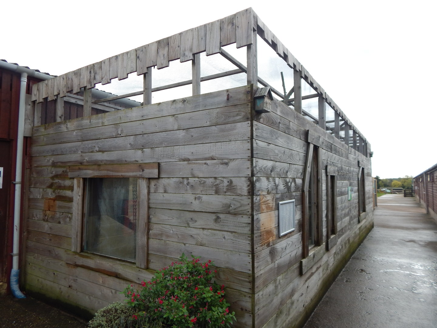 South American coati enclosure 231022