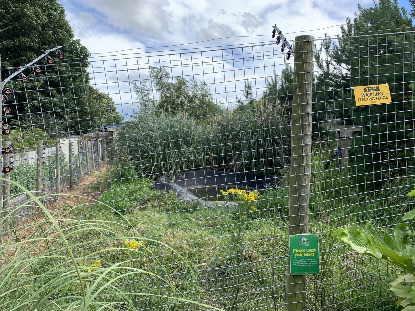 South American Coati Enclosure at Northumberland College Zoo (2020)