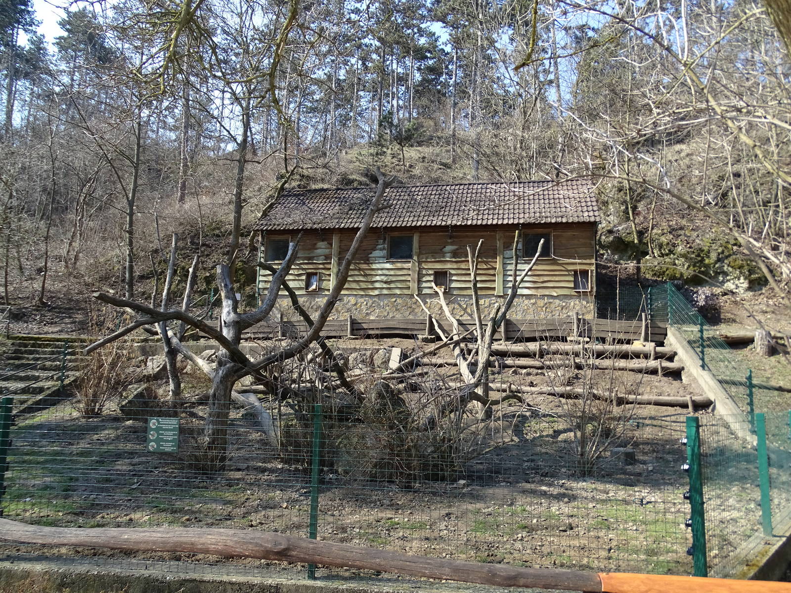South-American coati enclosure