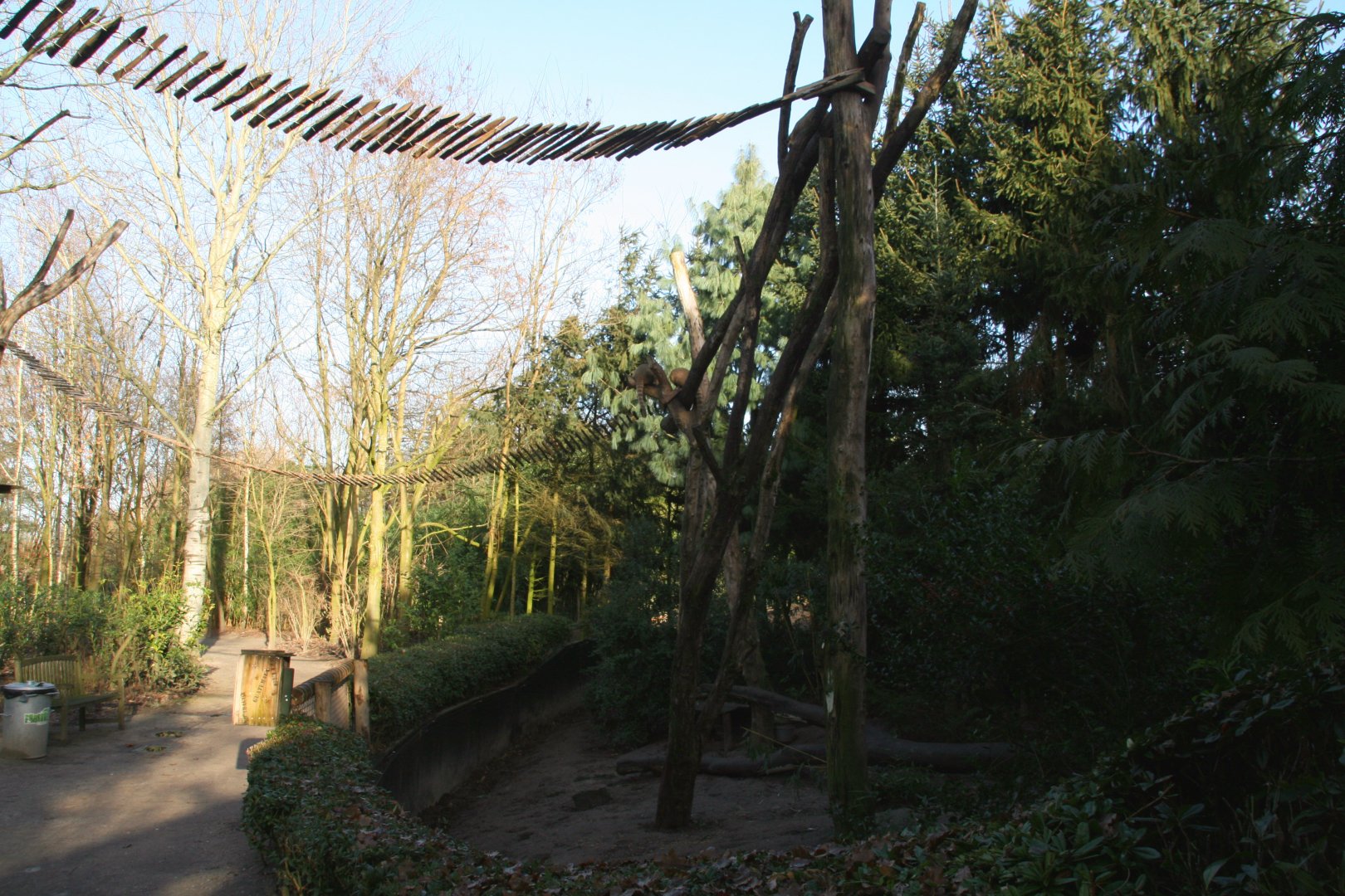 South American coati enclosure