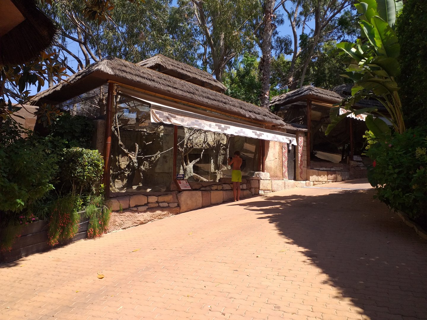 South American coati exhibit -MundoMar Benidorm (2021)